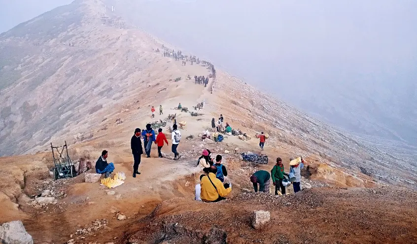 Gallery Image 2