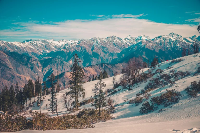 Auli Ski & Trek Adventure_January 2026