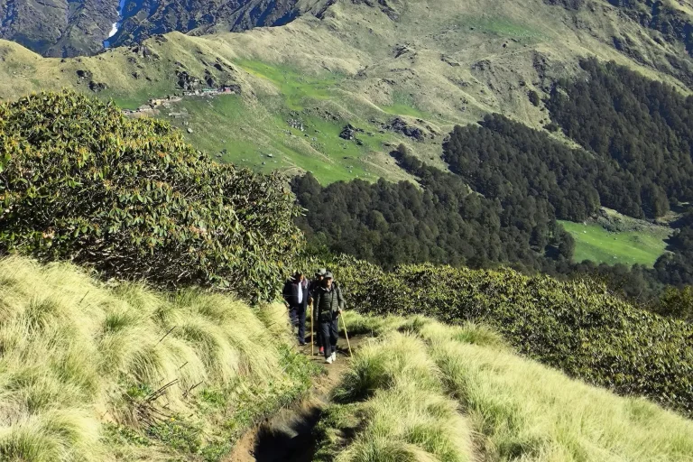 Dodital: Spring Trek_March 2026
