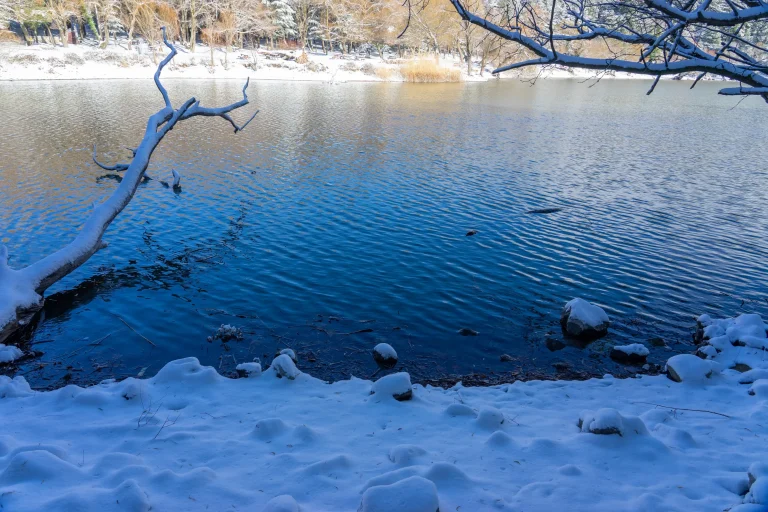 Dodital_November 2025