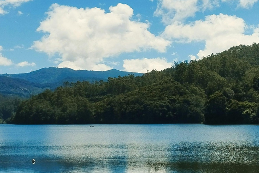 view of a serene lake surrounded by trees.