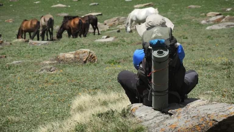 View of trekker resting on a rocky meadow as wild horses graze in the distance.