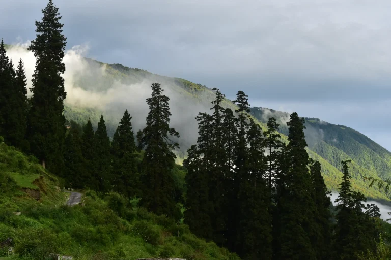 Bedni Bugyal September 2026