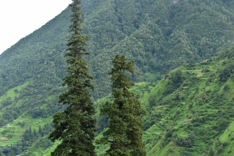 The Divine Lake trek Brahmatal May 2026