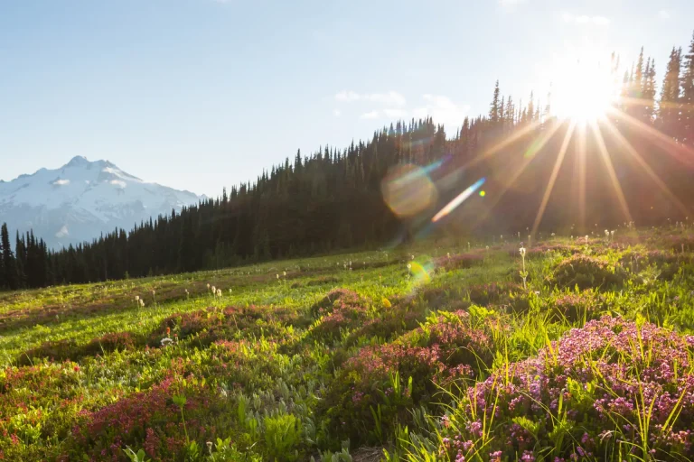 Dayara Bugyal:Summer glory June 2026