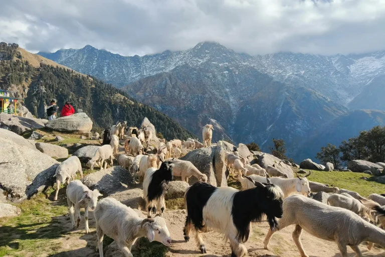Ghepan Lake: Himachal High April 2026