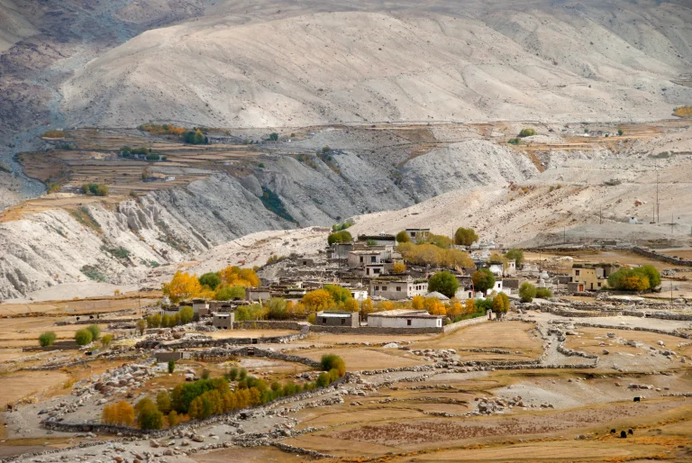 Unique Ladakh July 2026