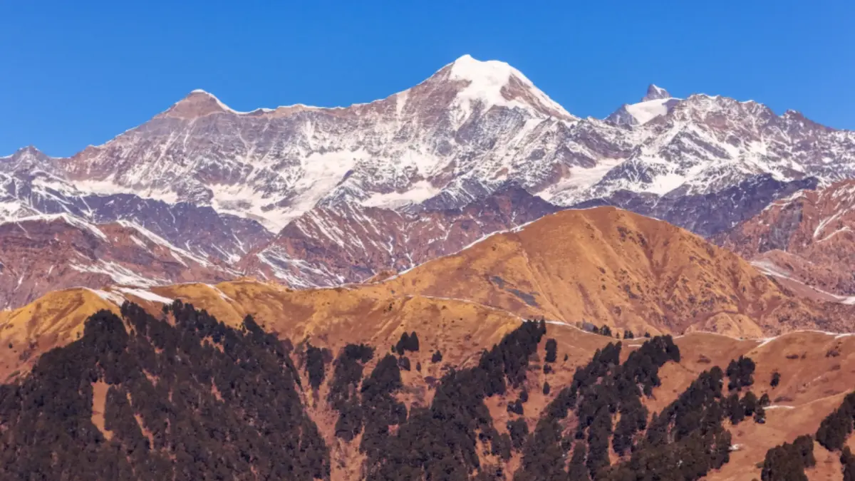 Read more about the article Dodital vs Dayara Bugyal: Which Trek Is Right for You?