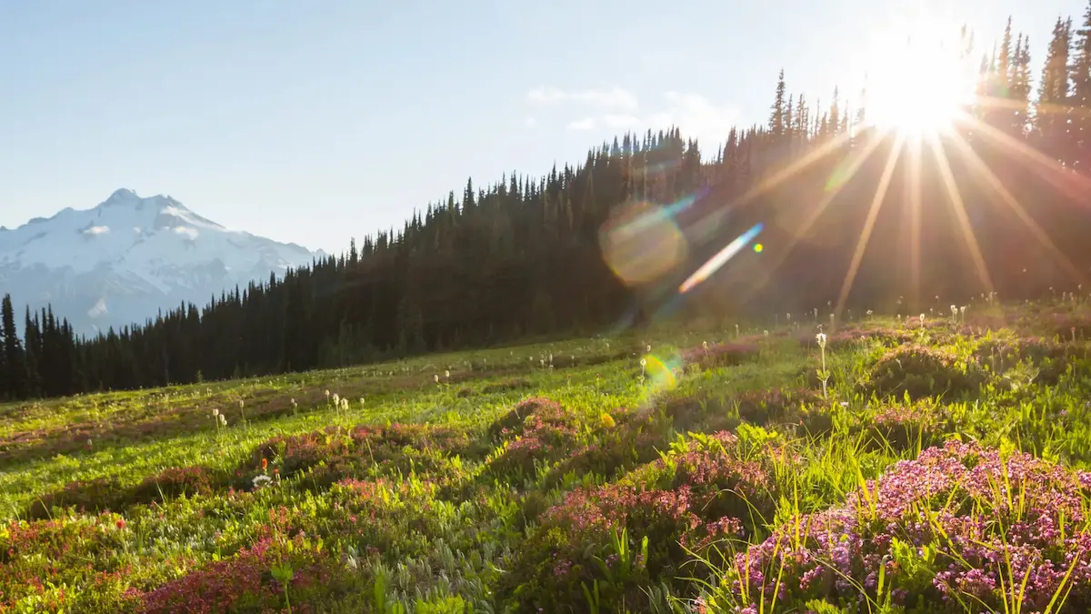 Read more about the article Why the Dayara Bugyal Trek Is a Beautiful First Himalayan Trail for Families
