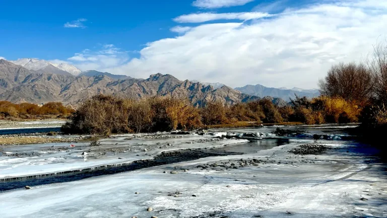 Frozen river with autumn trees and mountains in Ladakh